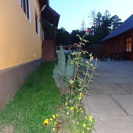 Pensiunea Radu Cisnădie Quarto foto
